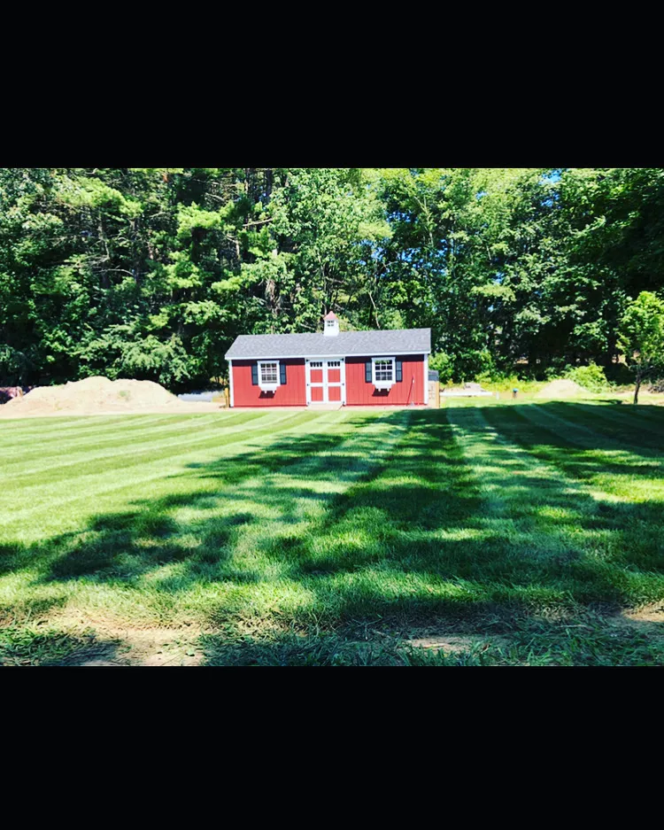 Freshly edged lawn with healthy green turf and mulched planting beds