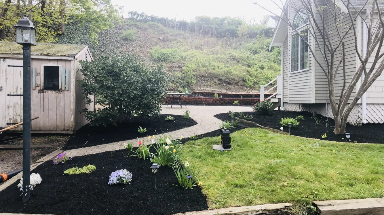 Landscape design in progress showing shrub placement and stone border