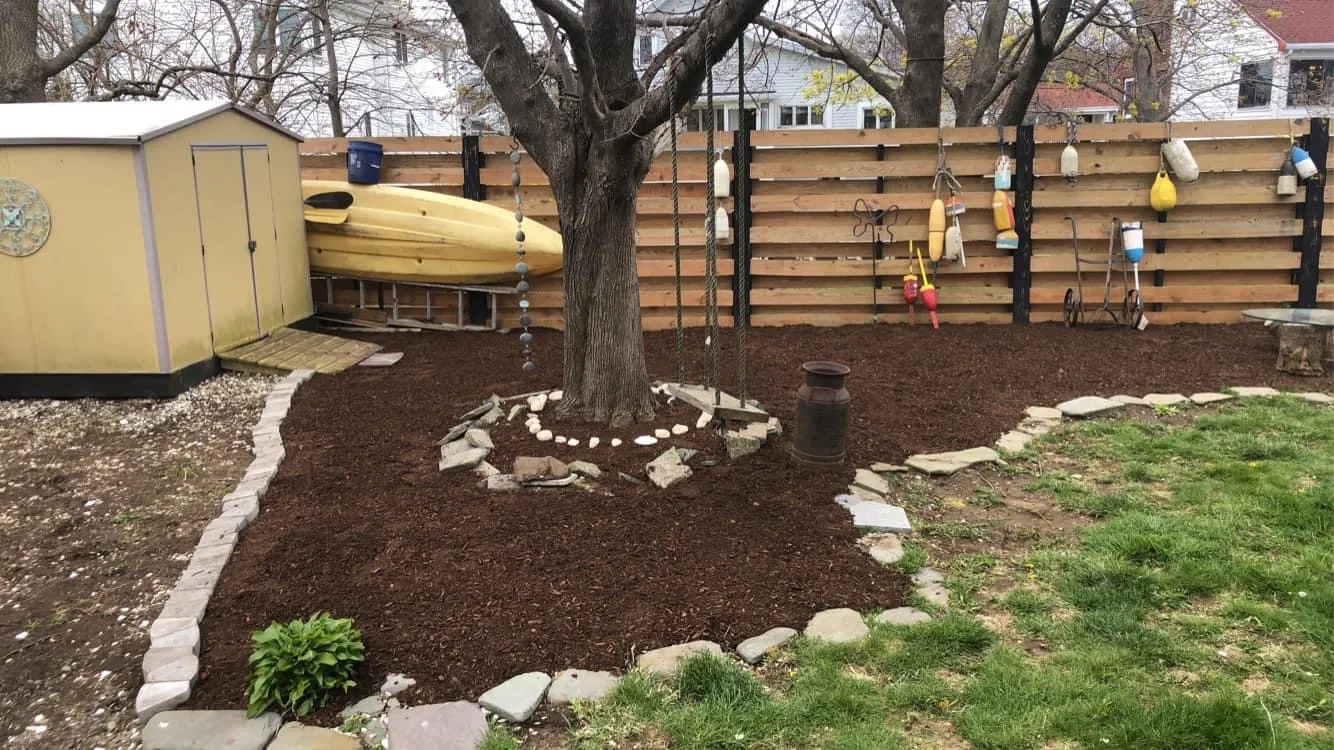 Backyard planting bed featuring young ornamental shrubs and fresh mulch